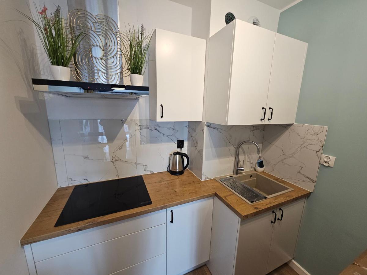 Michalczyka Apartament 弗罗茨瓦夫 外观 照片